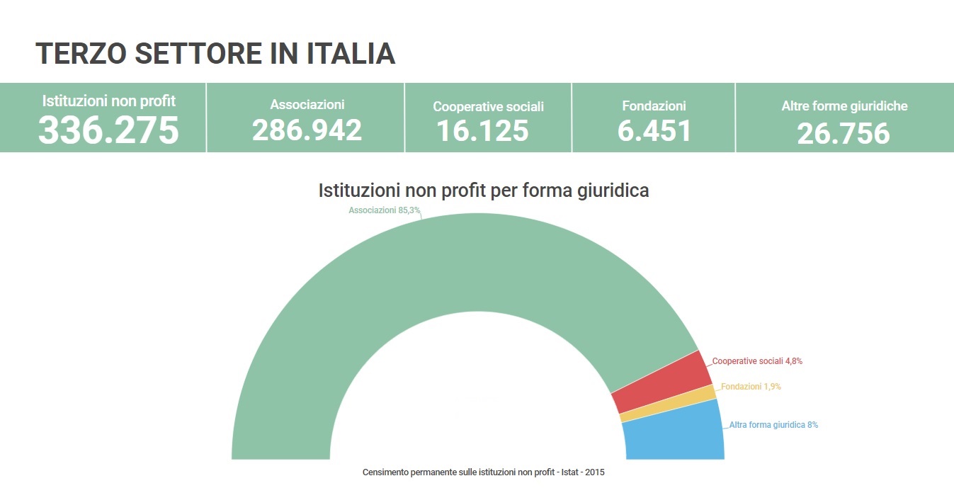 Il terzo settore in Italia - dati Istat