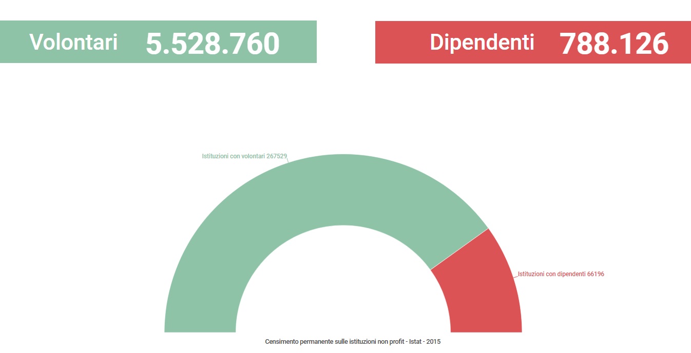 Volontari e dipendenti non profit 