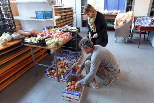 Solidarietà alimentare e fondi alle zone rosse con il Ristori ter