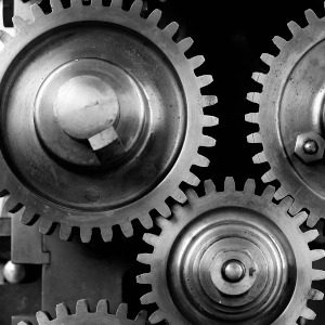 Organizzazione e funzionamento