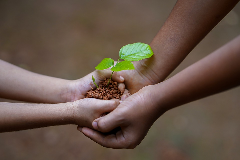 L'Agenzia delle entrate ha pubblicato una guida dedicata che interessa anche associazioni ed enti non profit. Possibile inviare la domanda dal 5 luglio al 2 settembre 2021