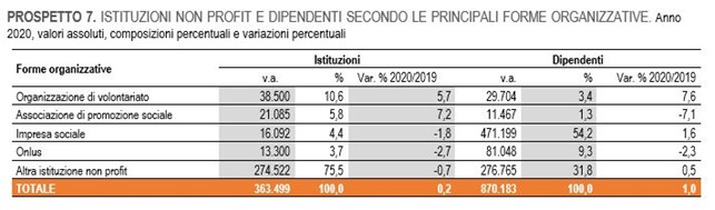 Dati istati non profit 2020