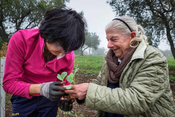 comunità energetiche